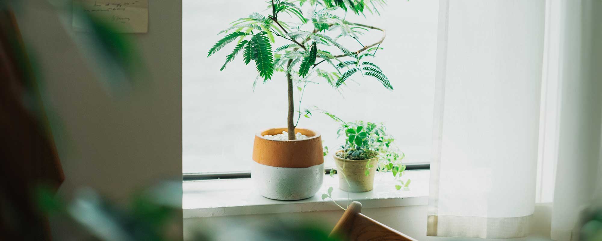 CHLOROSオリジナル家具 雑貨 | 美しさと機能性を兼ね備えたアクセサリー