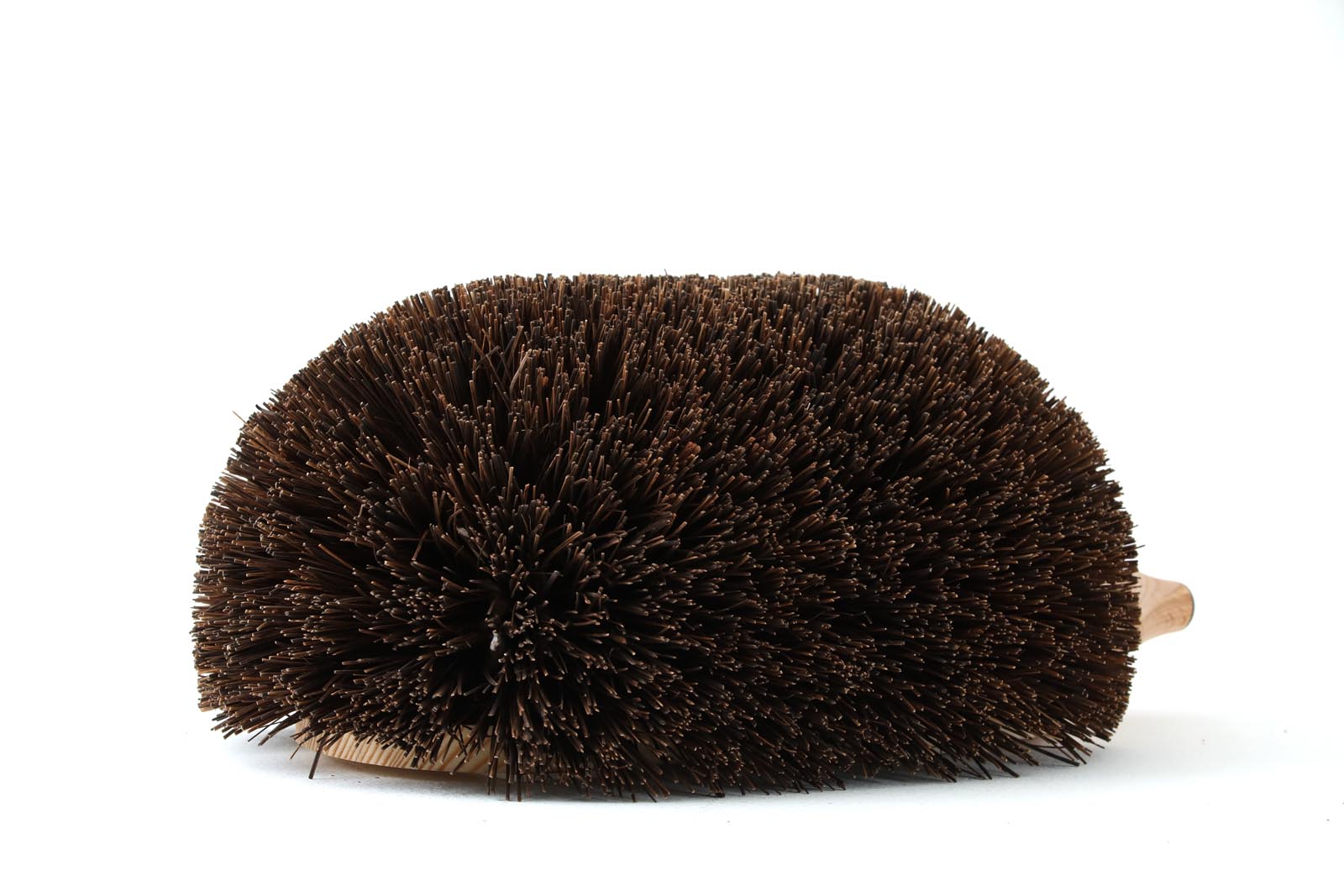 Redecker レデッカー 泥おとし ブラシ はりねずみ 泥落とし 靴裏 （ 靴 靴底 スニーカー ハリネズミ 玄関雑貨 かわいい おしゃれ ） REDECKER(レデッカー) ドアストッパー ハリネズミ 泥落とし 玄関