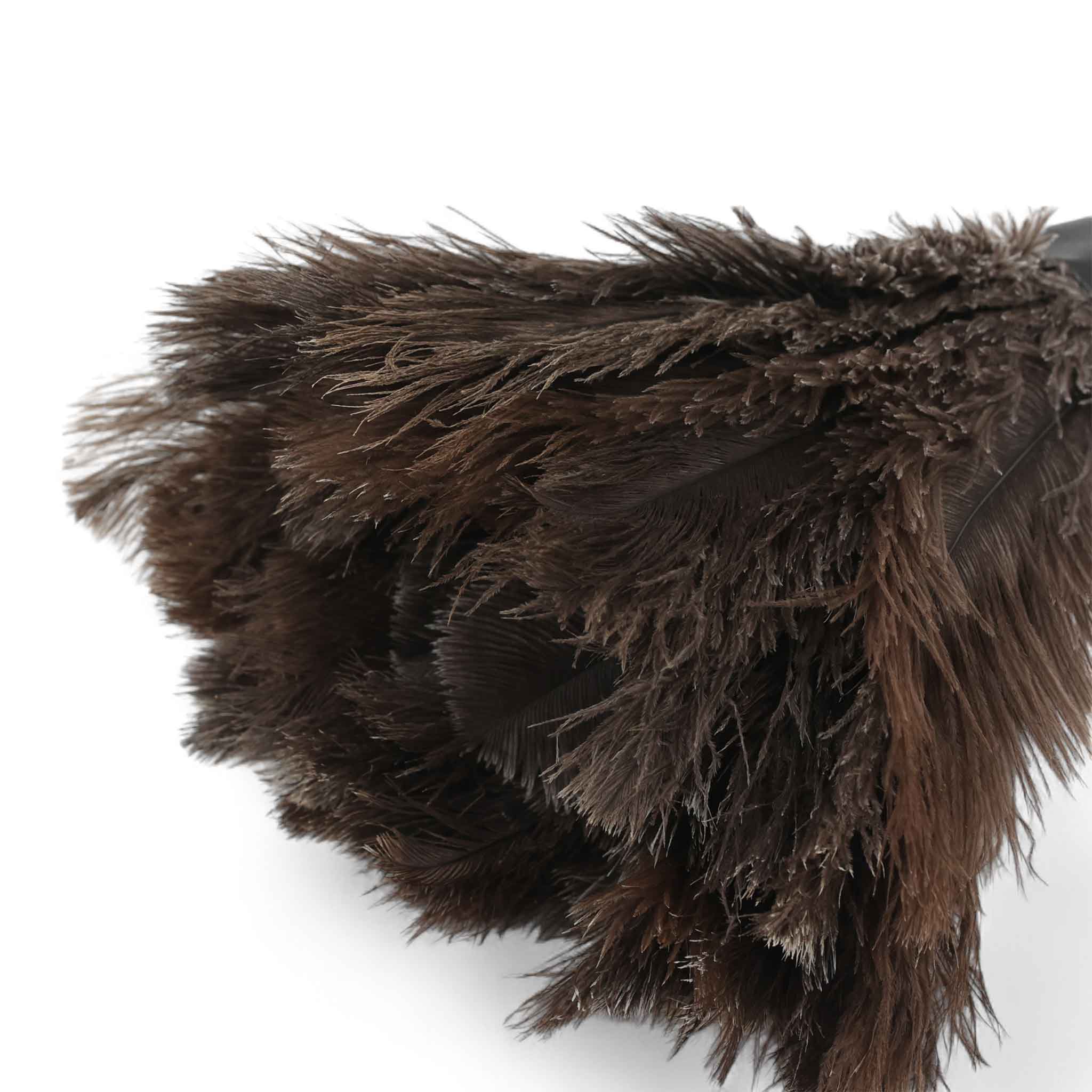 Redecker(レデッカー) オーストリッチ羽はたき (50cm White)