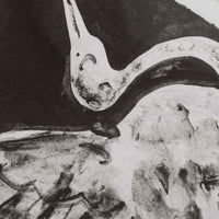 The Poster Club(ポスタークラブ)は、デンマーク・コペンハーゲンを拠点とするオンラインショップで、北欧デザインの高品質なポスターやアートプリントを専門に取り扱っています。新進気鋭の若手アーティストから世界的に活躍する作家まで、多彩なラインナップが魅力。北欧のライフスタイル、ファッション、インテリアデザインのトレンドを取り入れたミニマルで洗練された作品は、シンプルで上質な空間に自然と溶け込みます。ナチュラルインテリアや韓国風の部屋づくり、和モダンテイストにも調和し、アートを取り入れた暮らしを提案。世界中のインテリア雑誌やデザインメディアにも多数掲載されており、感度の高いユーザーからも厚い信頼を集めています。The Poster Clubは、アートプリントを通して日常に美とインスピレーションを届ける、北欧インテリア好きにおすすめのブランドです。