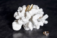 Mette Ditmer(メッテ・ディットマー)は、1995年にデンマークで設立されたインテリアブランドで、北欧ミニマリズムと洗練されたグラフィックデザインを融合させたスタイルで知られています。創設者メッテ・ディットマーのデザイン哲学は「ディテールにこそ真の個性が宿る」というもので、シンプルでありながら印象的な色使いや質感へのこだわりが、日常に上質な美しさをもたらします。バスルームアクセサリーやテキスタイル、ホームデコレーションなど幅広いラインナップを展開し、機能性と美しさを両立した製品は、ヨーロッパを中心に世界中で支持されています。サステナビリティにも配慮し、長く使える耐久性のある素材や時代に左右されないデザインを採用。Mette Ditmerは、日常空間を心地よく整えるための美意識とクラフトマンシップが詰まった北欧ブランドです。