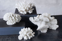 Mette Ditmer(メッテ・ディットマー)は、1995年にデンマークで設立されたインテリアブランドで、北欧ミニマリズムと洗練されたグラフィックデザインを融合させたスタイルで知られています。創設者メッテ・ディットマーのデザイン哲学は「ディテールにこそ真の個性が宿る」というもので、シンプルでありながら印象的な色使いや質感へのこだわりが、日常に上質な美しさをもたらします。バスルームアクセサリーやテキスタイル、ホームデコレーションなど幅広いラインナップを展開し、機能性と美しさを両立した製品は、ヨーロッパを中心に世界中で支持されています。サステナビリティにも配慮し、長く使える耐久性のある素材や時代に左右されないデザインを採用。Mette Ditmerは、日常空間を心地よく整えるための美意識とクラフトマンシップが詰まった北欧ブランドです。