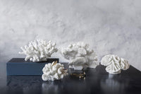 Mette Ditmer(メッテ・ディットマー)は、1995年にデンマークで設立されたインテリアブランドで、北欧ミニマリズムと洗練されたグラフィックデザインを融合させたスタイルで知られています。創設者メッテ・ディットマーのデザイン哲学は「ディテールにこそ真の個性が宿る」というもので、シンプルでありながら印象的な色使いや質感へのこだわりが、日常に上質な美しさをもたらします。バスルームアクセサリーやテキスタイル、ホームデコレーションなど幅広いラインナップを展開し、機能性と美しさを両立した製品は、ヨーロッパを中心に世界中で支持されています。サステナビリティにも配慮し、長く使える耐久性のある素材や時代に左右されないデザインを採用。Mette Ditmerは、日常空間を心地よく整えるための美意識とクラフトマンシップが詰まった北欧ブランドです。