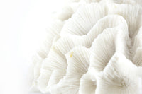 Mette Ditmer(メッテ・ディットマー)は、1995年にデンマークで設立されたインテリアブランドで、北欧ミニマリズムと洗練されたグラフィックデザインを融合させたスタイルで知られています。創設者メッテ・ディットマーのデザイン哲学は「ディテールにこそ真の個性が宿る」というもので、シンプルでありながら印象的な色使いや質感へのこだわりが、日常に上質な美しさをもたらします。バスルームアクセサリーやテキスタイル、ホームデコレーションなど幅広いラインナップを展開し、機能性と美しさを両立した製品は、ヨーロッパを中心に世界中で支持されています。サステナビリティにも配慮し、長く使える耐久性のある素材や時代に左右されないデザインを採用。Mette Ditmerは、日常空間を心地よく整えるための美意識とクラフトマンシップが詰まった北欧ブランドです。