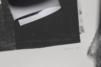 Alium(アリウム)は、デンマーク・コペンハーゲン発のアートとインテリアの融合を目指すポスターブランドかつギャラリーです。2010年代半ばにThe Poster Club創業者トーマスニッセン氏らによって設立され、歴史あるフレデリクスベルク市庁舎横の建物を拠点に、限定アート作品とオブジェを展示・販売しています。カラーや構図にこだわったポスターは、北欧的なスローライフや自然美を背景としつつ、無機質でミニマルな空間にも調和します。クラフトマンシップとデザイン性を重視し、アーティストとの協働によるオリジナリティ溢れる作品を通じて、「暮らしを美と創造性で豊かにする」姿勢を訴求しています。ギャラリーでは巡回展やアートイベントを定期開催し、既成のインテリア領域に留まらない文化的な体験の場を提供。ポスターという商材を媒介にしながらも、生活空間とアート空間の垣根を解き、個々の感性に触発を与えることをミッションとしています。