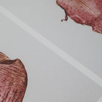 Alium(アリウム)は、デンマーク・コペンハーゲン発のアートとインテリアの融合を目指すポスターブランドかつギャラリーです。2010年代半ばにThe Poster Club創業者トーマスニッセン氏らによって設立され、歴史あるフレデリクスベルク市庁舎横の建物を拠点に、限定アート作品とオブジェを展示・販売しています。カラーや構図にこだわったポスターは、北欧的なスローライフや自然美を背景としつつ、無機質でミニマルな空間にも調和します。クラフトマンシップとデザイン性を重視し、アーティストとの協働によるオリジナリティ溢れる作品を通じて、「暮らしを美と創造性で豊かにする」姿勢を訴求しています。ギャラリーでは巡回展やアートイベントを定期開催し、既成のインテリア領域に留まらない文化的な体験の場を提供。ポスターという商材を媒介にしながらも、生活空間とアート空間の垣根を解き、個々の感性に触発を与えることをミッションとしています。