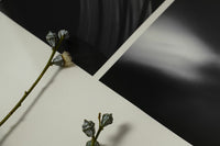 Alium(アリウム)は、デンマーク・コペンハーゲン発のアートとインテリアの融合を目指すポスターブランドかつギャラリーです。2010年代半ばにThe Poster Club創業者トーマスニッセン氏らによって設立され、歴史あるフレデリクスベルク市庁舎横の建物を拠点に、限定アート作品とオブジェを展示・販売しています。カラーや構図にこだわったポスターは、北欧的なスローライフや自然美を背景としつつ、無機質でミニマルな空間にも調和します。クラフトマンシップとデザイン性を重視し、アーティストとの協働によるオリジナリティ溢れる作品を通じて、「暮らしを美と創造性で豊かにする」姿勢を訴求しています。ギャラリーでは巡回展やアートイベントを定期開催し、既成のインテリア領域に留まらない文化的な体験の場を提供。ポスターという商材を媒介にしながらも、生活空間とアート空間の垣根を解き、個々の感性に触発を与えることをミッションとしています。