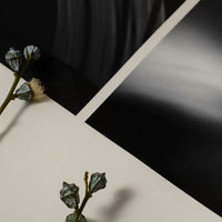 Alium(アリウム)は、デンマーク・コペンハーゲン発のアートとインテリアの融合を目指すポスターブランドかつギャラリーです。2010年代半ばにThe Poster Club創業者トーマスニッセン氏らによって設立され、歴史あるフレデリクスベルク市庁舎横の建物を拠点に、限定アート作品とオブジェを展示・販売しています。カラーや構図にこだわったポスターは、北欧的なスローライフや自然美を背景としつつ、無機質でミニマルな空間にも調和します。クラフトマンシップとデザイン性を重視し、アーティストとの協働によるオリジナリティ溢れる作品を通じて、「暮らしを美と創造性で豊かにする」姿勢を訴求しています。ギャラリーでは巡回展やアートイベントを定期開催し、既成のインテリア領域に留まらない文化的な体験の場を提供。ポスターという商材を媒介にしながらも、生活空間とアート空間の垣根を解き、個々の感性に触発を与えることをミッションとしています。