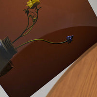 Alium(アリウム)は、デンマーク・コペンハーゲン発のアートとインテリアの融合を目指すポスターブランドかつギャラリーです。2010年代半ばにThe Poster Club創業者トーマスニッセン氏らによって設立され、歴史あるフレデリクスベルク市庁舎横の建物を拠点に、限定アート作品とオブジェを展示・販売しています。カラーや構図にこだわったポスターは、北欧的なスローライフや自然美を背景としつつ、無機質でミニマルな空間にも調和します。クラフトマンシップとデザイン性を重視し、アーティストとの協働によるオリジナリティ溢れる作品を通じて、「暮らしを美と創造性で豊かにする」姿勢を訴求しています。ギャラリーでは巡回展やアートイベントを定期開催し、既成のインテリア領域に留まらない文化的な体験の場を提供。ポスターという商材を媒介にしながらも、生活空間とアート空間の垣根を解き、個々の感性に触発を与えることをミッションとしています。