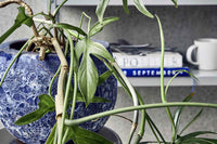 house doctorはデンマークのブランドです。人々が独自の空間を創造するのを刺激し支援したいという願望に基づいて生まれました。ブランドの美学はスカンジナビアンの伝統のデザインに根付いており、そこにインダストリアルなどの要素や世界中からのインスピレーションを加えています。彼らの製品は素材や質感などの細部にこだわったユニークなものだと感じます。