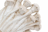 Nordalはデンマークのインテリアデザインブランドで、3人の兄弟「Signe」「Mads」「Emil」によって運営されている家族経営のブランドです。彼らはデザイン、ディテール、素材に対する理解を共有し、家とそこに住む人々の物語を伝えるデザインの作成に取り組んでいます。