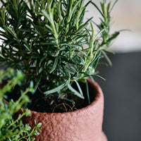 Nordalは、デンマークで1991年に設立されたファミリー経営のインテリアブランドで、北欧の機能美と東洋のスピリチュアルな美意識を融合させたユニークなスタイルで知られています。伝統的な北欧デザインのシンプルさをベースに、インドをはじめとする異国の文化や素材からインスピレーションを得た、温かみと個性にあふれるコレクションを展開しています。いずれも独自性のあるディテールと職人技が光るアイテムばかり。特に、アイアンやウッド、真鍮などを用いた無骨で温もりある質感が特徴で、ナチュラルかつエッジの効いた空間演出が可能です。「人とは違うものを選びたい」「個性的で洗練された暮らしを楽しみたい」といった感度の高いユーザーに選ばれており、注目を集めています。単なる装飾品ではなく、暮らしに深みをもたらすデザインを提案するブランド、それがNordalです。