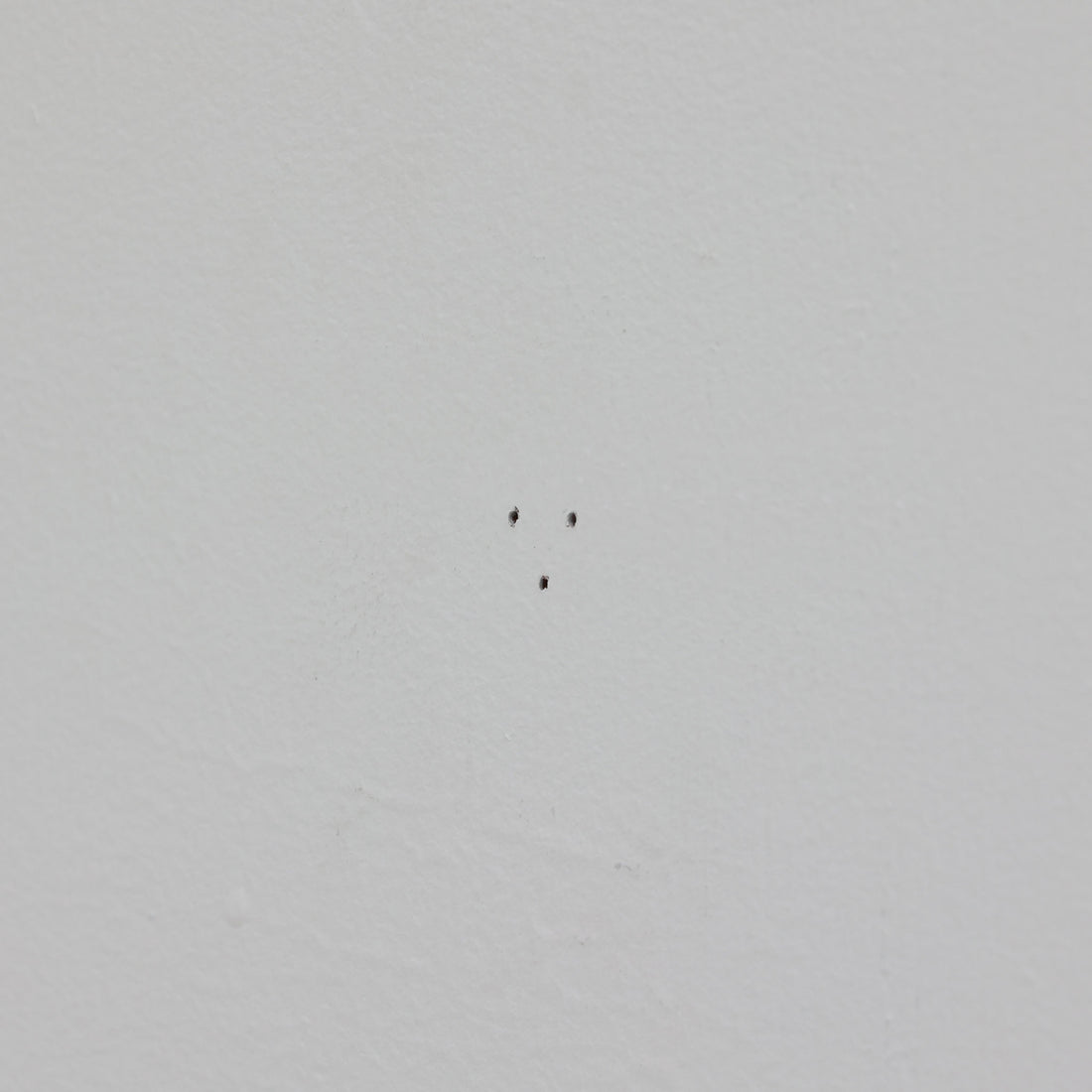 北欧スウェーデンのブランド「BOLD」が開発した、革新的なピクチャーフックです。従来の金属製フックとは異なり、軽量で耐久性の高いプラスチック製を採用。壁へのダメージを最小限に抑えながら、アートや額縁を美しく、確実に掛けることができます。取り付けは驚くほど簡単で、ドリルやアンカーを使わず、付属の細いスチールピンをハンマーで打ち込むだけ。数秒で設置でき、外した跡もほとんど目立ちません。一般的な石こうボードや木壁はもちろん、コンクリート壁にも対応します。素材には柔軟性と高い衝撃吸収性を兼ね備えた熱可塑性プラスチックを採用。フレームをしっかり支えながらも、壁面や釘への負担を軽減します。北欧らしい機能美と合理性を追求したBOLDのピクチャーフックは、壁にアートを飾るという日常の動作を、より簡単でスマートな体験へと変えてくれます。