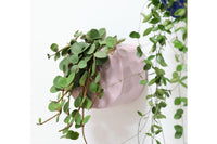 オランダ・アムステルダム発のインテリアブランド&Klevering(アンド・クレベリング)は、1992年の創業以来、「デザインを最優先に」という理念のもと、カラフルで個性的なホームアクセサリーを展開しています。アムステルダムらしいオリジナリティを大切にし、どんな空間にも調和しながらも印象的な存在感を放つデザインが魅力です。&Kleveringのアイテムは、自宅用としてはもちろん、贈り物にも最適です。コレクションはすべてチームで丁寧に作り上げられ、現代アートやヴィンテージスタイルからインスピレーションを受けたユニークでタイムレスなデザインを追求しています。また、「Buro Berger」というブランド名でも著名なアーティストとのコラボレーションを行い、革新性と伝統を両立しながら、常に新しい驚きを届けています。