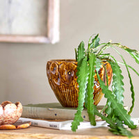 Bloomingville(ブルーミングヴィル)は2000年にデンマークで誕生した北欧インテリアブランドです。創業者ベティーナ・スタメのもと、北欧デザインの伝統に現代的な感性を融合させた製品を展開し、シンプルで温かみのあるライフスタイルを提案しています。ナチュラルな素材や落ち着いた色合いが特徴で、リビングやキッチン、バスルーム、子供部屋などさまざまな空間に自然に調和し、心地よさをもたらします。テーブルウェア、北欧雑貨、キッズアイテムまで幅広く揃え、使いやすさと美しさを兼ね備えたデザインで暮らしを彩ります。「小さな変化で大きな幸せを」というコンセプトのもと、手の届く価格で上質な北欧スタイルを日常に取り入れることができるのも魅力です。ナチュラルインテリアやシンプルモダンな空間づくりに関心のある方に最適なブランドとして、Bloomingvilleはヨーロッパを中心に世界中で高く評価されています。