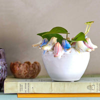 Bloomingville(ブルーミングヴィル)は2000年にデンマークで誕生した北欧インテリアブランドです。創業者ベティーナ・スタメのもと、北欧デザインの伝統に現代的な感性を融合させた製品を展開し、シンプルで温かみのあるライフスタイルを提案しています。ナチュラルな素材や落ち着いた色合いが特徴で、リビングやキッチン、バスルーム、子供部屋などさまざまな空間に自然に調和し、心地よさをもたらします。テーブルウェア、北欧雑貨、キッズアイテムまで幅広く揃え、使いやすさと美しさを兼ね備えたデザインで暮らしを彩ります。「小さな変化で大きな幸せを」というコンセプトのもと、手の届く価格で上質な北欧スタイルを日常に取り入れることができるのも魅力です。ナチュラルインテリアやシンプルモダンな空間づくりに関心のある方に最適なブランドとして、Bloomingvilleはヨーロッパを中心に世界中で高く評価されています。