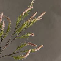 Bloomingville(ブルーミングヴィル)は2000年にデンマークで誕生した北欧インテリアブランドです。創業者ベティーナ・スタメのもと、北欧デザインの伝統に現代的な感性を融合させた製品を展開し、シンプルで温かみのあるライフスタイルを提案しています。ナチュラルな素材や落ち着いた色合いが特徴で、リビングやキッチン、バスルーム、子供部屋などさまざまな空間に自然に調和し、心地よさをもたらします。テーブルウェア、北欧雑貨、キッズアイテムまで幅広く揃え、使いやすさと美しさを兼ね備えたデザインで暮らしを彩ります。「小さな変化で大きな幸せを」というコンセプトのもと、手の届く価格で上質な北欧スタイルを日常に取り入れることができるのも魅力です。ナチュラルインテリアやシンプルモダンな空間づくりに関心のある方に最適なブランドとして、Bloomingvilleはヨーロッパを中心に世界中で高く評価されています。