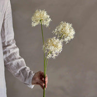 Bloomingville(ブルーミングヴィル)は2000年にデンマークで誕生した北欧インテリアブランドです。創業者ベティーナ・スタメのもと、北欧デザインの伝統に現代的な感性を融合させた製品を展開し、シンプルで温かみのあるライフスタイルを提案しています。ナチュラルな素材や落ち着いた色合いが特徴で、リビングやキッチン、バスルーム、子供部屋などさまざまな空間に自然に調和し、心地よさをもたらします。テーブルウェア、北欧雑貨、キッズアイテムまで幅広く揃え、使いやすさと美しさを兼ね備えたデザインで暮らしを彩ります。「小さな変化で大きな幸せを」というコンセプトのもと、手の届く価格で上質な北欧スタイルを日常に取り入れることができるのも魅力です。ナチュラルインテリアやシンプルモダンな空間づくりに関心のある方に最適なブランドとして、Bloomingvilleはヨーロッパを中心に世界中で高く評価されています。