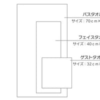 今治タオル VITA ヴィータ フェイスタオル 40×85cm