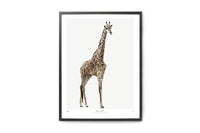 My Deer Art Shopは、「日常に、ほんの少しの物語を。」をコンセプトに、アートの持つ癒しと温もりを暮らしに届けるブランドです。愛らしい動物たちや幻想的な風景、心に残る言葉をモチーフに、イラストレーションやアートポスター、雑貨を展開。特に“鹿(Deer)”をブランドの象徴とし、静かで優しい世界観を大切にしています。ブランドの始まりは、自然と動物、そして小さな物語を描き続けてきたひとりのイラストレーターのアトリエでした。自身の描く作品が、見る人の心をそっと癒し、時には励ましになることを知り、2020年にMy Deer Art Shopとしてオンラインショップを立ち上げました。手に取った人が、作品に込められた物語やぬくもりを感じられるよう、一点一点に心を込めて制作しています。