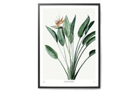 My Deer Art Shopは、「日常に、ほんの少しの物語を。」をコンセプトに、アートの持つ癒しと温もりを暮らしに届けるブランドです。愛らしい動物たちや幻想的な風景、心に残る言葉をモチーフに、イラストレーションやアートポスター、雑貨を展開。特に“鹿(Deer)”をブランドの象徴とし、静かで優しい世界観を大切にしています。ブランドの始まりは、自然と動物、そして小さな物語を描き続けてきたひとりのイラストレーターのアトリエでした。自身の描く作品が、見る人の心をそっと癒し、時には励ましになることを知り、2020年にMy Deer Art Shopとしてオンラインショップを立ち上げました。手に取った人が、作品に込められた物語やぬくもりを感じられるよう、一点一点に心を込めて制作しています。