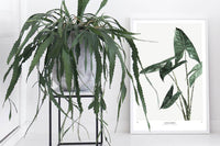 My Deer Art Shopは、「日常に、ほんの少しの物語を。」をコンセプトに、アートの持つ癒しと温もりを暮らしに届けるブランドです。愛らしい動物たちや幻想的な風景、心に残る言葉をモチーフに、イラストレーションやアートポスター、雑貨を展開。特に“鹿(Deer)”をブランドの象徴とし、静かで優しい世界観を大切にしています。ブランドの始まりは、自然と動物、そして小さな物語を描き続けてきたひとりのイラストレーターのアトリエでした。自身の描く作品が、見る人の心をそっと癒し、時には励ましになることを知り、2020年にMy Deer Art Shopとしてオンラインショップを立ち上げました。手に取った人が、作品に込められた物語やぬくもりを感じられるよう、一点一点に心を込めて制作しています。