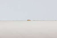 北欧より買い付けたGETAmA社製デイベッドです。 学生寮の為にデザインされた物で、無駄な装飾を省いたフレキシブルなソファです。 名前の通り、背もたれを上げるとベッドになります。 GETAmA社は元々ベッドメーカーの為、寝心地も良好です。