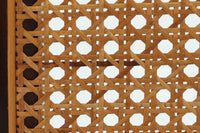 北欧より買い付けました。Illum WikkelsoによってデザインされたPlexus Chairです。マホガニー材とラタンの組み合わせが上品で美しく、日本のお部屋にも良く合う落ち着いた色味です。