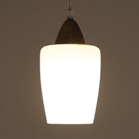 繊細なテクスチャーが施されたガラスシェードと、上部にあしらわれた真鍮パーツが上品に調和した直径11cmの小ぶりなペンダントライトで、柔らかい光がガラス越しに拡散し、空間に温かみのある雰囲気をもたらす北欧ビンテージ品です。控えめなサイズながら経年で深まった真鍮の風合いが個性を引き立て、玄関や洗面、キッチンカウンターなど小空間のアクセント照明として取り入れやすいデザインとなっています。クラフト感のあるガラスの質感が灯りに心地よい揺らぎを生み、単体でも複数灯でも美しくコーディネートできる点も魅力です。