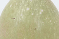 フィンランド人で彫刻家の父と、デンマーク人で陶芸家の母の元に育つGunnar Nylundはデンマークで建築を学んだ後、Bing&Grondahl窯、スウェーデンRorstrand窯に就業し、多くの作品を生み出しています。彼の作品は独特な流線型と釉薬が特徴で世界中で重宝されています。