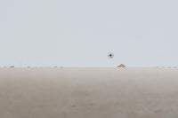 北欧より買い付けたGETAmA社製デイベッドです。学生寮の為にデザインされた物で、無駄な装飾を省いたフレキシブルなソファです。名前の通り、背もたれを上げるとベッドになります。GETAmA社は元々ベッドメーカーの為、寝心地も良好です。