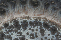 フィンランド人で彫刻家の父と、デンマーク人で陶芸家の母の元に育つGunnarNylundはデンマークで建築を学んだ後、Bing&Grondahl窯、スウェーデンRorstrand窯に就業し、多くの作品を生み出しています。彼の作品は独特な流線型と釉薬が特徴で世界中で重宝されています。