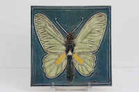 LisaLarsonのFJARILSPLATTORシリーズの陶板です。1972年から1974年にかけて製造され、3種類のチョウのモチーフがあります。