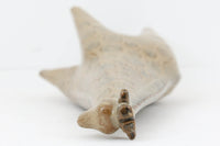 STORA ZOO(大きな動物)シリーズのキリンです。1958-1977年に製造されたお品。人気のシリーズですが小さなLILLA ZOOシリーズに比べ個体数が少ないため、コレクター甲斐のある人気のシリーズになっています。