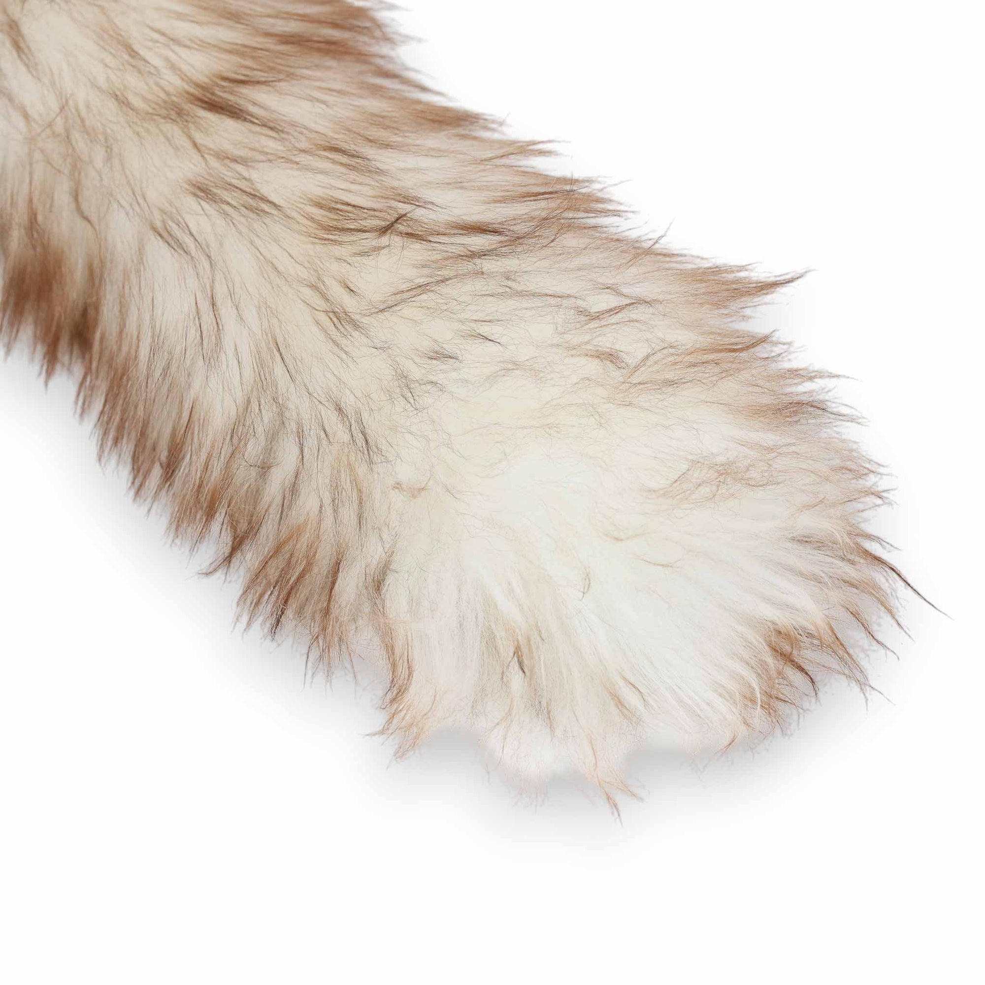 REDECKER（レデッカー）は、1935年にドイツ・フェルスマルトで創業された、天然素材を使用した高品質な生活道具を展開する老舗ブランドです。創業者フリーデル・レデッカー氏が視力を失ったことをきっかけに、手作業でブラシ製造を始めたことからスタートし、そのクラフトマンシップと品質へのこだわりは3世代にわたり継承されています。製品には天然木や植物繊維、動物毛などの自然素材が用いられ、環境に配慮したプラスチックフリーな暮らしを実現します。ナチュラルクリーニングやサステナブルなライフスタイルを志向する人々に人気があり、ドイツ製の確かな品質と伝統工芸品としての信頼性も評価されています。北欧風やミニマルな空間に調和する、美しく機能的なデザインも大きな魅力。REDECKERは、「クラフト」「デザイン」「品質」を大切にした、持続可能で丁寧な暮らしを支えるエコブランドとして、世界中で愛され続けています。