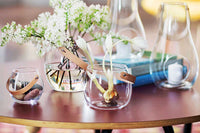 フラワーベース/フラワーポット　クリア　高さ10cm