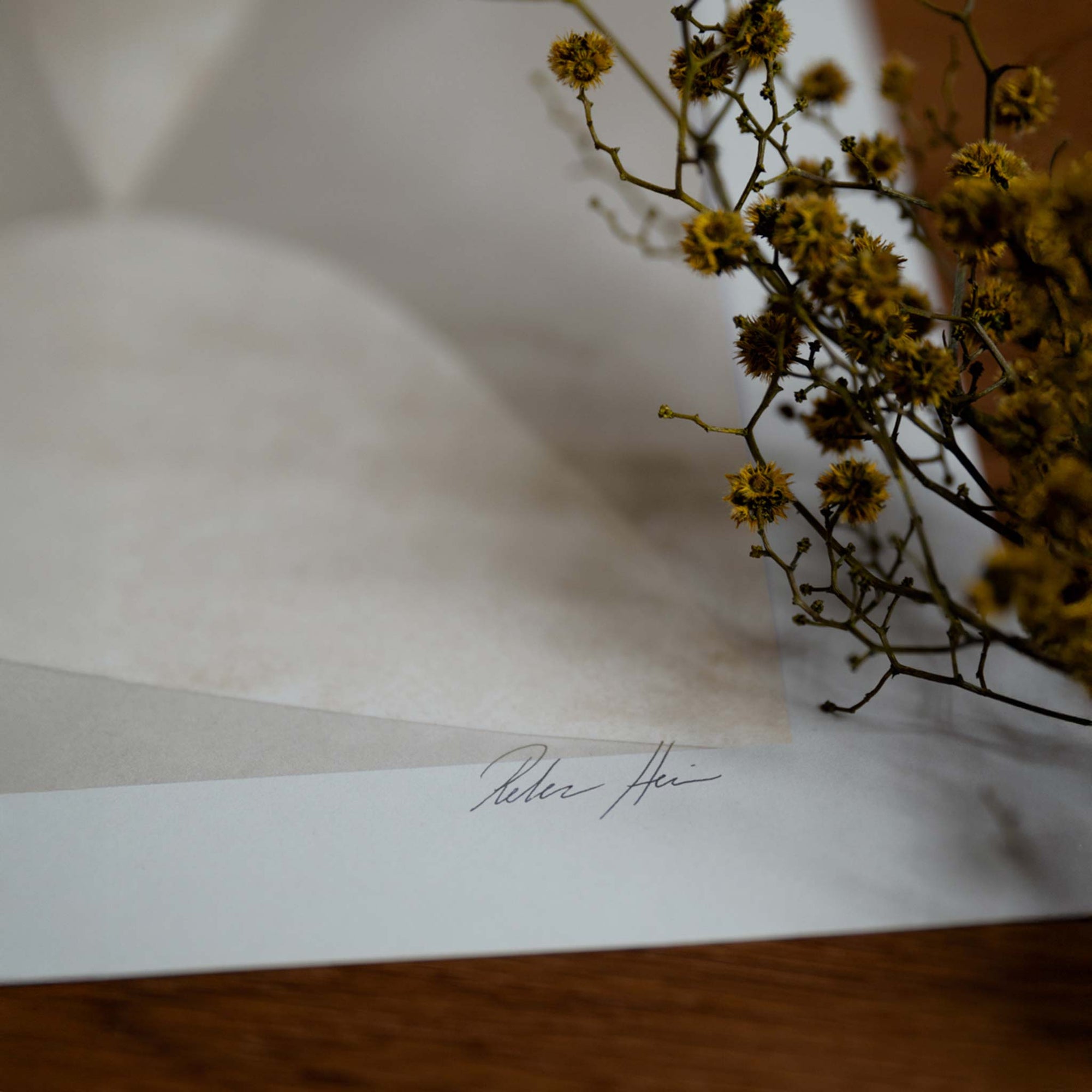 The Poster Club（ポスタークラブ）は、デンマーク・コペンハーゲンを拠点とするオンラインショップで、北欧デザインの高品質なポスターやアートプリントを専門に取り扱っています。新進気鋭の若手アーティストから世界的に活躍する作家まで、多彩なラインナップが魅力。北欧のライフスタイル、ファッション、インテリアデザインのトレンドを取り入れたミニマルで洗練された作品は、シンプルで上質な空間に自然と溶け込みます。ナチュラルインテリアや韓国風の部屋づくり、和モダンテイストにも調和し、アートを取り入れた暮らしを提案。世界中のインテリア雑誌やデザインメディアにも多数掲載されており、感度の高いユーザーからも厚い信頼を集めています。The Poster Clubは、アートプリントを通して日常に美とインスピレーションを届ける、北欧インテリア好きにおすすめのブランドです。