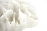 Mette Ditmer（メッテ・ディットマー）は、1995年にデンマークで設立されたインテリアブランドで、北欧ミニマリズムと洗練されたグラフィックデザインを融合させたスタイルで知られています。創設者メッテ・ディットマーのデザイン哲学は「ディテールにこそ真の個性が宿る」というもので、シンプルでありながら印象的な色使いや質感へのこだわりが、日常に上質な美しさをもたらします。バスルームアクセサリーやテキスタイル、ホームデコレーションなど幅広いラインナップを展開し、機能性と美しさを両立した製品は、ヨーロッパを中心に世界中で支持されています。サステナビリティにも配慮し、長く使える耐久性のある素材や時代に左右されないデザインを採用。Mette Ditmerは、日常空間を心地よく整えるための美意識とクラフトマンシップが詰まった北欧ブランドです。