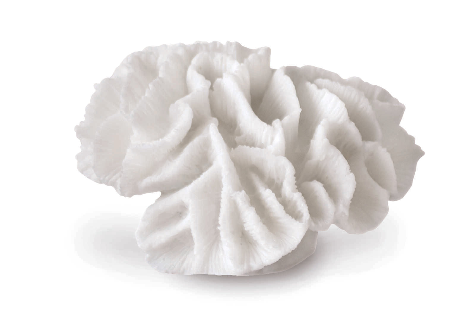 Mette Ditmer（メッテ・ディットマー）は、1995年にデンマークで設立されたインテリアブランドで、北欧ミニマリズムと洗練されたグラフィックデザインを融合させたスタイルで知られています。創設者メッテ・ディットマーのデザイン哲学は「ディテールにこそ真の個性が宿る」というもので、シンプルでありながら印象的な色使いや質感へのこだわりが、日常に上質な美しさをもたらします。バスルームアクセサリーやテキスタイル、ホームデコレーションなど幅広いラインナップを展開し、機能性と美しさを両立した製品は、ヨーロッパを中心に世界中で支持されています。サステナビリティにも配慮し、長く使える耐久性のある素材や時代に左右されないデザインを採用。Mette Ditmerは、日常空間を心地よく整えるための美意識とクラフトマンシップが詰まった北欧ブランドです。