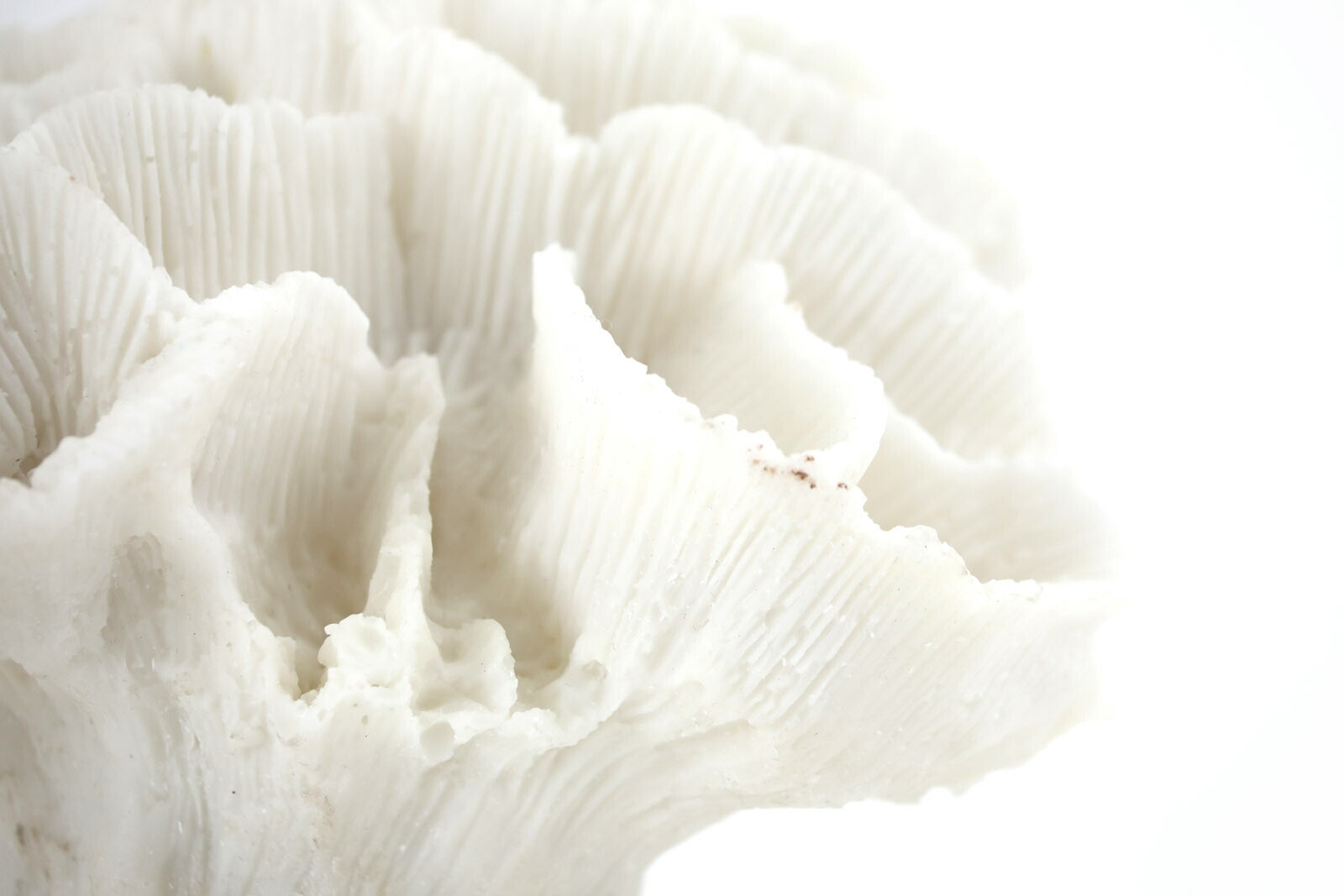 Mette Ditmer（メッテ・ディットマー）は、1995年にデンマークで設立されたインテリアブランドで、北欧ミニマリズムと洗練されたグラフィックデザインを融合させたスタイルで知られています。創設者メッテ・ディットマーのデザイン哲学は「ディテールにこそ真の個性が宿る」というもので、シンプルでありながら印象的な色使いや質感へのこだわりが、日常に上質な美しさをもたらします。バスルームアクセサリーやテキスタイル、ホームデコレーションなど幅広いラインナップを展開し、機能性と美しさを両立した製品は、ヨーロッパを中心に世界中で支持されています。サステナビリティにも配慮し、長く使える耐久性のある素材や時代に左右されないデザインを採用。Mette Ditmerは、日常空間を心地よく整えるための美意識とクラフトマンシップが詰まった北欧ブランドです。