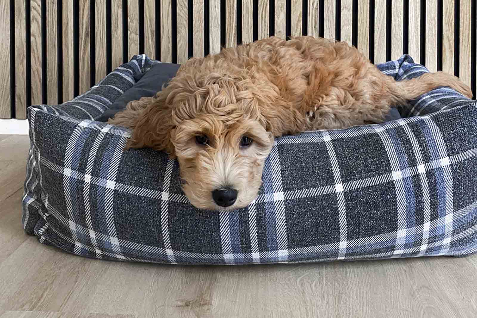 MetteDitmerは20年以上にわたり、バスルームとベッドルームのアイコニックなアクセサリーとホームテキスタイルを提供してきました。この2つの部屋に焦点を当てたのはそれがMetteDitmer自身のオアシスであり幸福な生活をおくる上で最重要と考えたからです。細部にまでこだわり、スカンジナビアンの色やグラフィックにクラシックデザインを取り入れた素晴らしい製品を見ることができます。