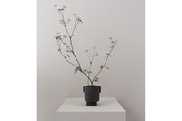 OYOY Living Designは、デンマークのデザイナーLotte Fynboeによって2012年に設立されました。子供、大人、そして彼らが住む家のためのホームアクセサリーを提供するデンマークで最も優れたブランドになることをポリシーとしています。伝統的なスカンジナビアのデザインに影響を受けた製品は、クラシックで機能的、ユニークなディテールと魅力的なカラーが特徴的です。
