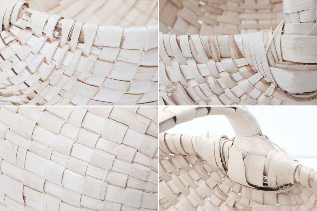 在庫限り】【再入荷なし】スウェーデン製 西洋ハシバミの