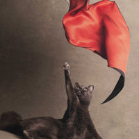 Alium（アリウム）は、デンマーク・コペンハーゲン発のアートとインテリアの融合を目指すポスターブランドかつギャラリーです。2010年代半ばにThe Poster Club創業者トーマスニッセン氏らによって設立され、歴史あるフレデリクスベルク市庁舎横の建物を拠点に、限定アート作品とオブジェを展示・販売しています。カラーや構図にこだわったポスターは、北欧的なスローライフや自然美を背景としつつ、無機質でミニマルな空間にも調和します。クラフトマンシップとデザイン性を重視し、アーティストとの協働によるオリジナリティ溢れる作品を通じて、「暮らしを美と創造性で豊かにする」姿勢を訴求しています。ギャラリーでは巡回展やアートイベントを定期開催し、既成のインテリア領域に留まらない文化的な体験の場を提供。ポスターという商材を媒介にしながらも、生活空間とアート空間の垣根を解き、個々の感性に触発を与えることをミッションとしています。