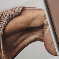 Alium（アリウム）は、デンマーク・コペンハーゲン発のアートとインテリアの融合を目指すポスターブランドかつギャラリーです。2010年代半ばにThe Poster Club創業者トーマスニッセン氏らによって設立され、歴史あるフレデリクスベルク市庁舎横の建物を拠点に、限定アート作品とオブジェを展示・販売しています。カラーや構図にこだわったポスターは、北欧的なスローライフや自然美を背景としつつ、無機質でミニマルな空間にも調和します。クラフトマンシップとデザイン性を重視し、アーティストとの協働によるオリジナリティ溢れる作品を通じて、「暮らしを美と創造性で豊かにする」姿勢を訴求しています。ギャラリーでは巡回展やアートイベントを定期開催し、既成のインテリア領域に留まらない文化的な体験の場を提供。ポスターという商材を媒介にしながらも、生活空間とアート空間の垣根を解き、個々の感性に触発を与えることをミッションとしています。