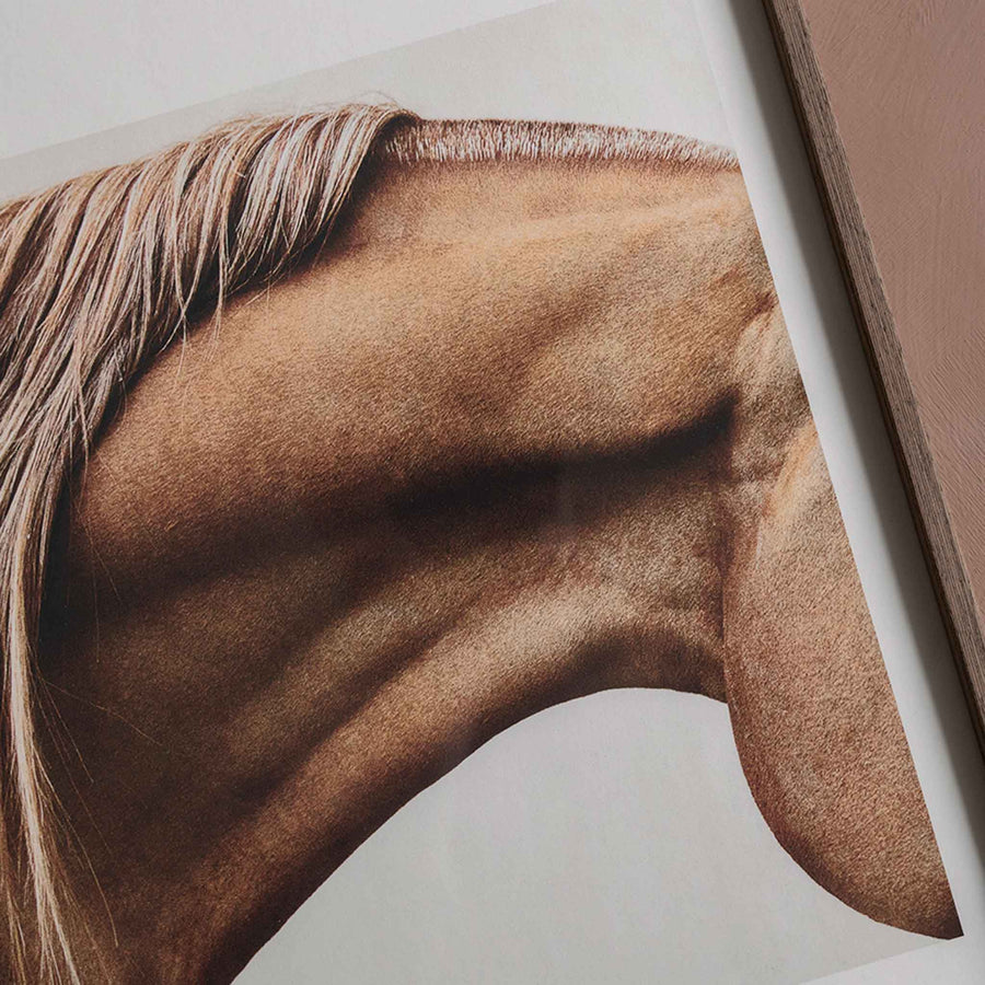 Alium（アリウム）は、デンマーク・コペンハーゲン発のアートとインテリアの融合を目指すポスターブランドかつギャラリーです。2010年代半ばにThe Poster Club創業者トーマスニッセン氏らによって設立され、歴史あるフレデリクスベルク市庁舎横の建物を拠点に、限定アート作品とオブジェを展示・販売しています。カラーや構図にこだわったポスターは、北欧的なスローライフや自然美を背景としつつ、無機質でミニマルな空間にも調和します。クラフトマンシップとデザイン性を重視し、アーティストとの協働によるオリジナリティ溢れる作品を通じて、「暮らしを美と創造性で豊かにする」姿勢を訴求しています。ギャラリーでは巡回展やアートイベントを定期開催し、既成のインテリア領域に留まらない文化的な体験の場を提供。ポスターという商材を媒介にしながらも、生活空間とアート空間の垣根を解き、個々の感性に触発を与えることをミッションとしています。