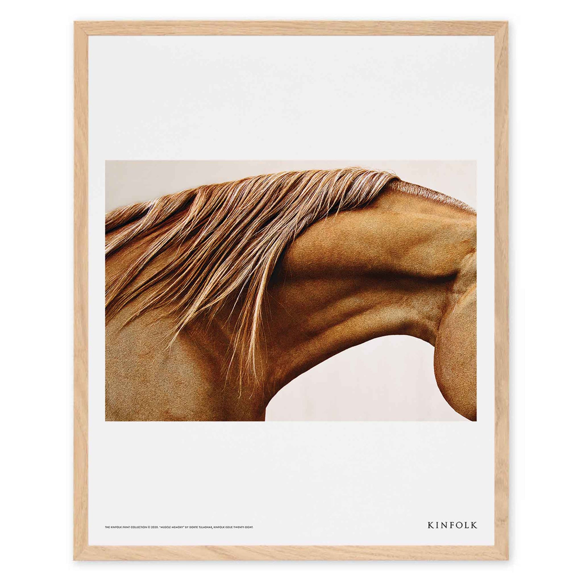 Alium（アリウム）は、デンマーク・コペンハーゲン発のアートとインテリアの融合を目指すポスターブランドかつギャラリーです。2010年代半ばにThe Poster Club創業者トーマスニッセン氏らによって設立され、歴史あるフレデリクスベルク市庁舎横の建物を拠点に、限定アート作品とオブジェを展示・販売しています。カラーや構図にこだわったポスターは、北欧的なスローライフや自然美を背景としつつ、無機質でミニマルな空間にも調和します。クラフトマンシップとデザイン性を重視し、アーティストとの協働によるオリジナリティ溢れる作品を通じて、「暮らしを美と創造性で豊かにする」姿勢を訴求しています。ギャラリーでは巡回展やアートイベントを定期開催し、既成のインテリア領域に留まらない文化的な体験の場を提供。ポスターという商材を媒介にしながらも、生活空間とアート空間の垣根を解き、個々の感性に触発を与えることをミッションとしています。