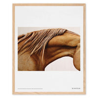 Alium（アリウム）は、デンマーク・コペンハーゲン発のアートとインテリアの融合を目指すポスターブランドかつギャラリーです。2010年代半ばにThe Poster Club創業者トーマスニッセン氏らによって設立され、歴史あるフレデリクスベルク市庁舎横の建物を拠点に、限定アート作品とオブジェを展示・販売しています。カラーや構図にこだわったポスターは、北欧的なスローライフや自然美を背景としつつ、無機質でミニマルな空間にも調和します。クラフトマンシップとデザイン性を重視し、アーティストとの協働によるオリジナリティ溢れる作品を通じて、「暮らしを美と創造性で豊かにする」姿勢を訴求しています。ギャラリーでは巡回展やアートイベントを定期開催し、既成のインテリア領域に留まらない文化的な体験の場を提供。ポスターという商材を媒介にしながらも、生活空間とアート空間の垣根を解き、個々の感性に触発を与えることをミッションとしています。