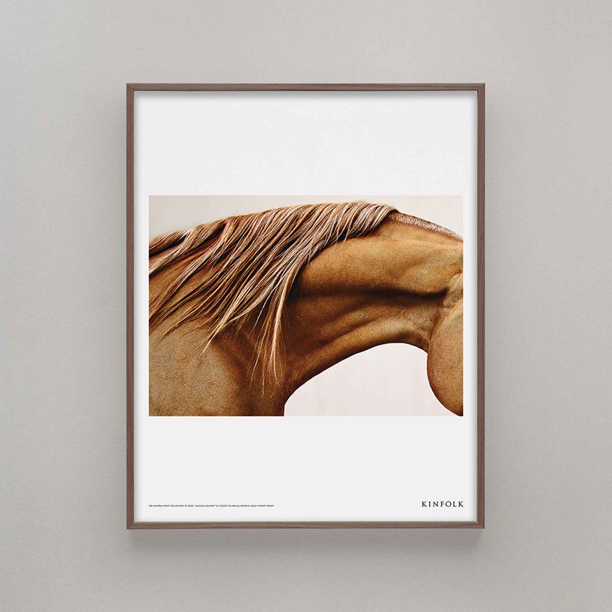 Alium（アリウム）は、デンマーク・コペンハーゲン発のアートとインテリアの融合を目指すポスターブランドかつギャラリーです。2010年代半ばにThe Poster Club創業者トーマスニッセン氏らによって設立され、歴史あるフレデリクスベルク市庁舎横の建物を拠点に、限定アート作品とオブジェを展示・販売しています。カラーや構図にこだわったポスターは、北欧的なスローライフや自然美を背景としつつ、無機質でミニマルな空間にも調和します。クラフトマンシップとデザイン性を重視し、アーティストとの協働によるオリジナリティ溢れる作品を通じて、「暮らしを美と創造性で豊かにする」姿勢を訴求しています。ギャラリーでは巡回展やアートイベントを定期開催し、既成のインテリア領域に留まらない文化的な体験の場を提供。ポスターという商材を媒介にしながらも、生活空間とアート空間の垣根を解き、個々の感性に触発を与えることをミッションとしています。