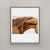 Alium（アリウム）は、デンマーク・コペンハーゲン発のアートとインテリアの融合を目指すポスターブランドかつギャラリーです。2010年代半ばにThe Poster Club創業者トーマスニッセン氏らによって設立され、歴史あるフレデリクスベルク市庁舎横の建物を拠点に、限定アート作品とオブジェを展示・販売しています。カラーや構図にこだわったポスターは、北欧的なスローライフや自然美を背景としつつ、無機質でミニマルな空間にも調和します。クラフトマンシップとデザイン性を重視し、アーティストとの協働によるオリジナリティ溢れる作品を通じて、「暮らしを美と創造性で豊かにする」姿勢を訴求しています。ギャラリーでは巡回展やアートイベントを定期開催し、既成のインテリア領域に留まらない文化的な体験の場を提供。ポスターという商材を媒介にしながらも、生活空間とアート空間の垣根を解き、個々の感性に触発を与えることをミッションとしています。